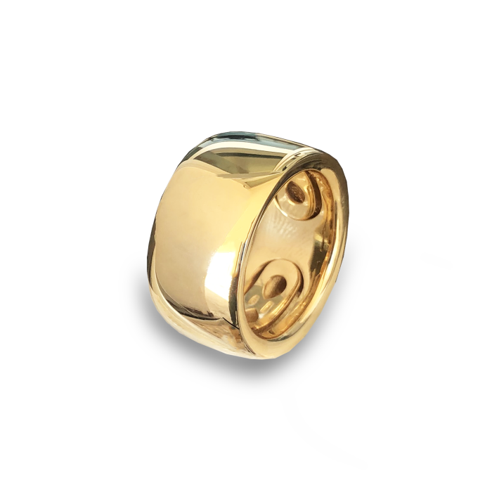Anello Icon