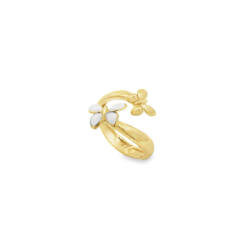 Anello Fly