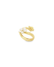 Anello Air